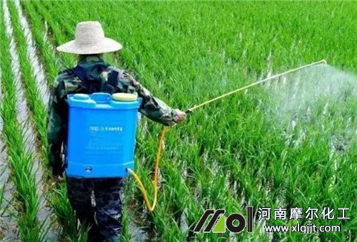 水稻噴施葉面肥好處 水稻噴施葉面肥好處