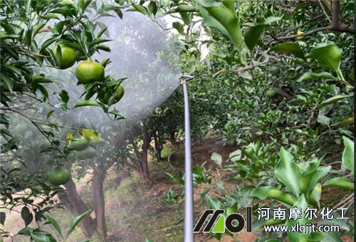 果樹葉面肥使用 果樹葉面肥使用