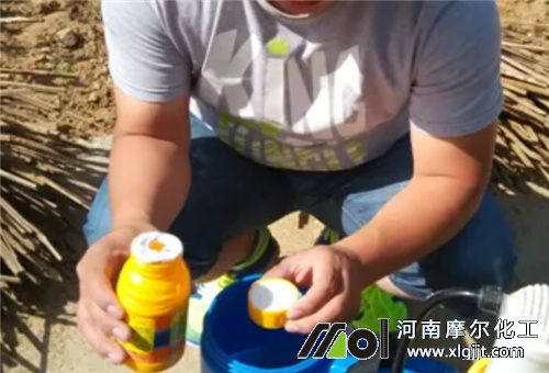 葉面肥稀釋 葉面肥稀釋