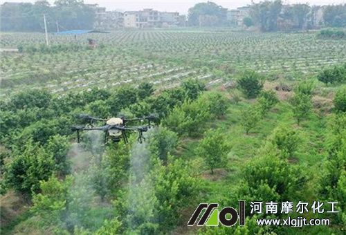 糖醇鈣噴施天氣 糖醇鈣噴施天氣
